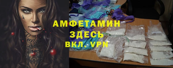 сатива Нефтекумск