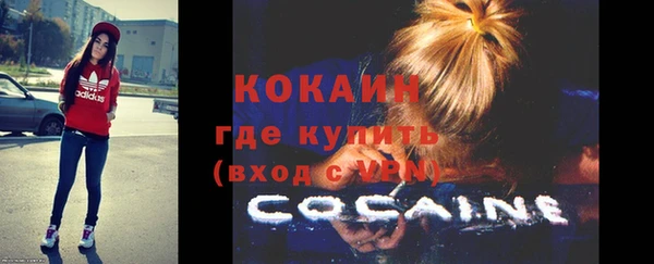 сатива Нефтекумск