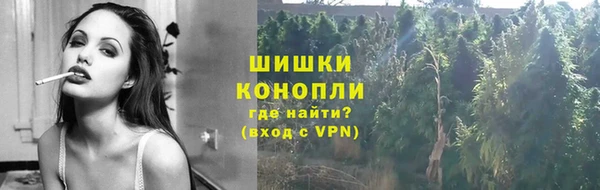 сатива Нефтекумск
