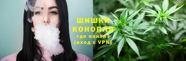 сатива Нефтекумск