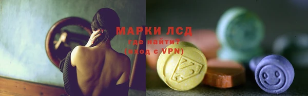 сатива Нефтекумск